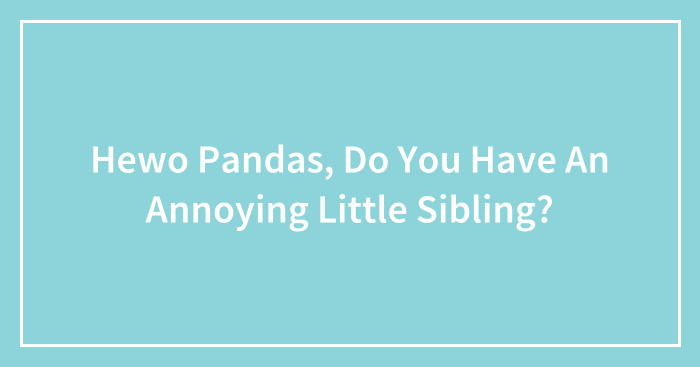 Hewo Pandas, Do You Have An Annoying Little Sibling?