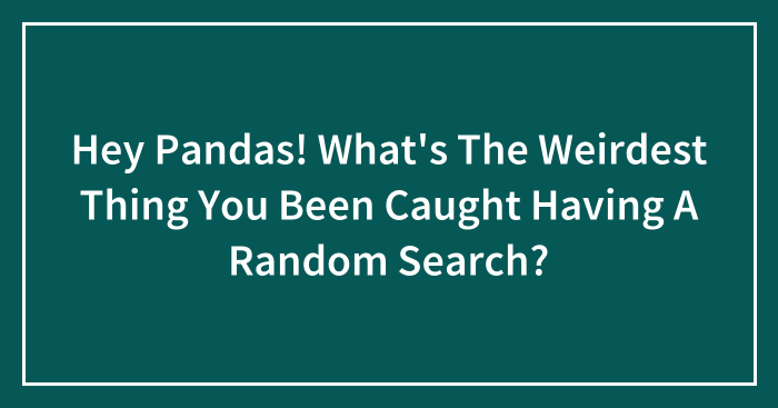 Hey Pandas! What’s The Weirdest Thing You Been Caught Having A Random Search?