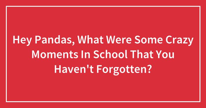 Hey Pandas, What Were Some Crazy Moments In School That You Haven’t Forgotten?