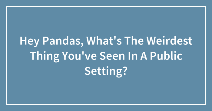 Hey Pandas, What’s The Weirdest Thing You’ve Seen In A Public Setting?
