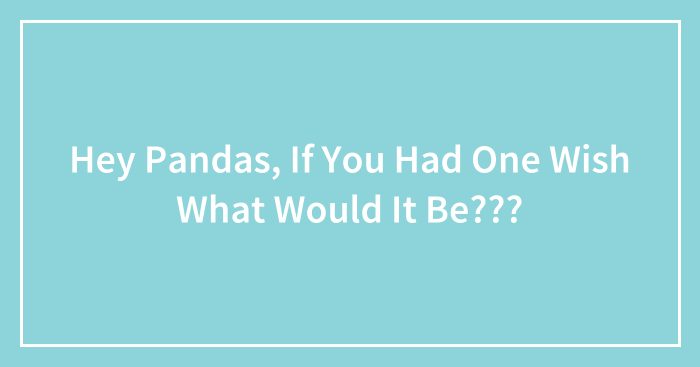 Hey Pandas, If You Had One Wish What Would It Be???
