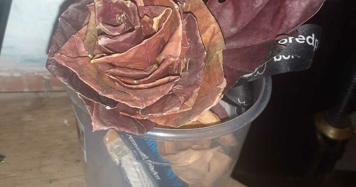 Hey Pandas, Show Us The Weirdest Thing You Have In Your Bedroom (Closed)