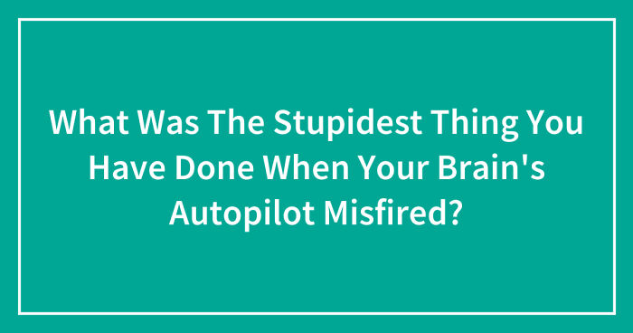 Hey Pandas, What Was The Stupidest Thing You Have Done When Your Brain’s Autopilot Misfired? (Closed)