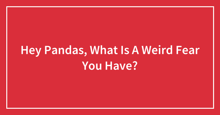 Hey Pandas, What Is A Weird Fear You Have?