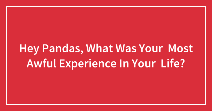 Hey Pandas, What Was Your Most Awful Experience In Your Life?
