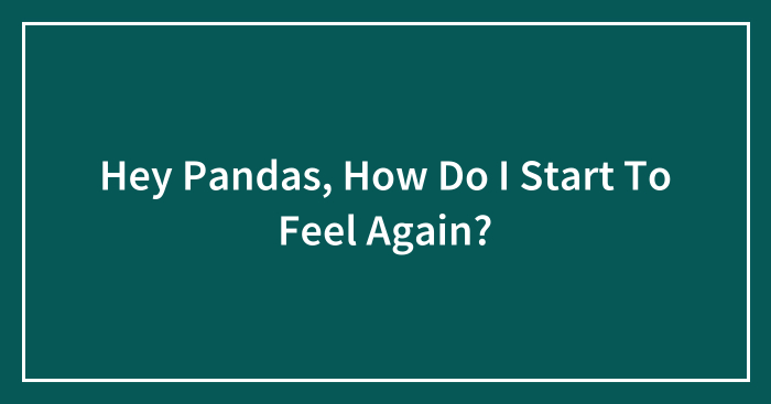 Hey Pandas, How Do I Start To Feel Again?