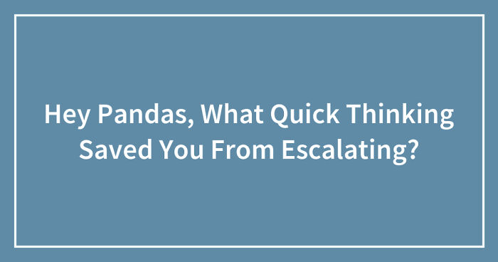Hey Pandas, What Quick Thinking Saved You From Escalating?