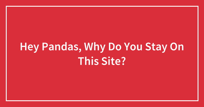 Hey Pandas, Why Do You Stay On This Site?
