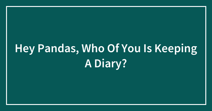 Hey Pandas, Who Of You Is Keeping A Diary?