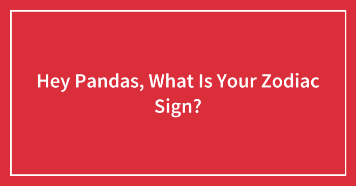 Hey Pandas, What Is Your Zodiac Sign?