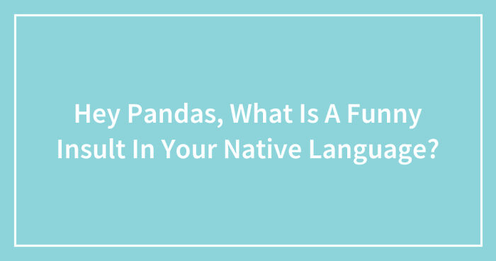 Hey Pandas, What Is A Funny Insult In Your Native Language? (Closed)