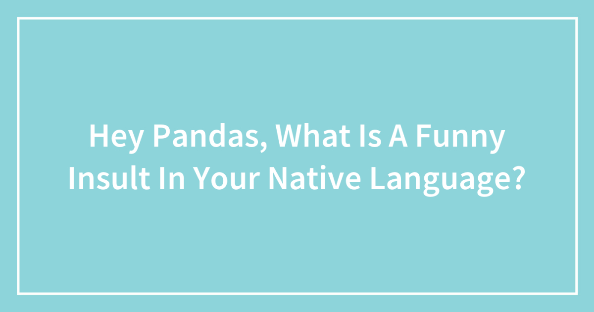 Hey Pandas, What Is A Funny Insult In Your Native Language? (Closed) |  Bored Panda