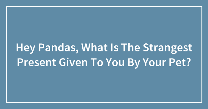 Hey Pandas, What Is The Strangest Present Given To You By Your Pet?