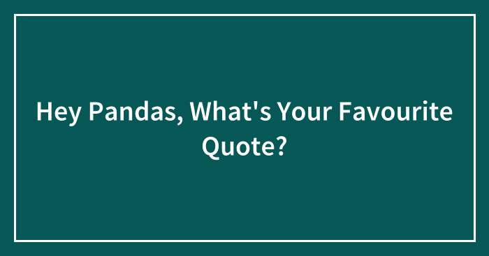 Hey Pandas, What’s Your Favourite Quote?