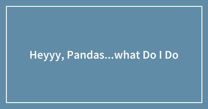 Heyyy, Pandas…what Do I Do