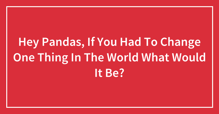 Hey Pandas, If You Had To Change One Thing In The World What Would It Be? (Closed)