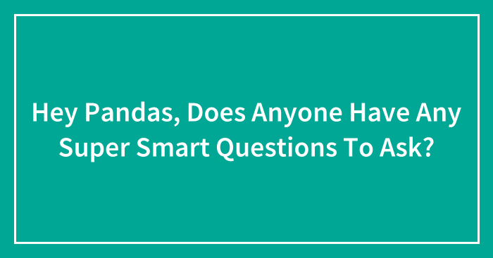 Hey Pandas, Does Anyone Have Any Super Smart Questions To Ask?