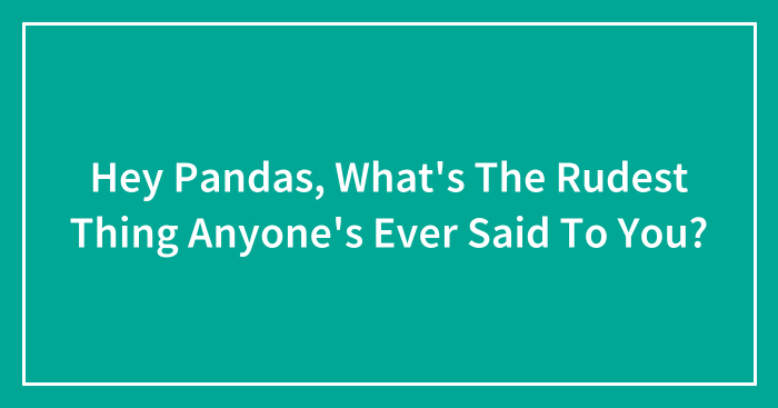 Hey Pandas, What’s The Rudest Thing Anyone’s Ever Said To You?