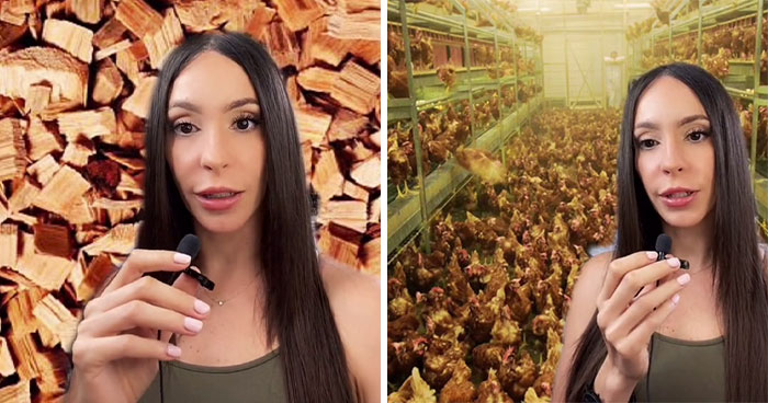 TikToker Shares 6 Dark Food Industry Secrets They Probably Don’t Want Us To Know