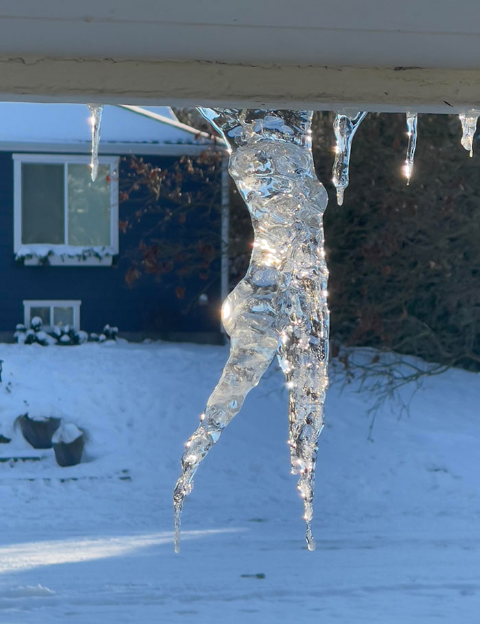 Anthropomorphic Icicle Hanging From My Eave This Morning