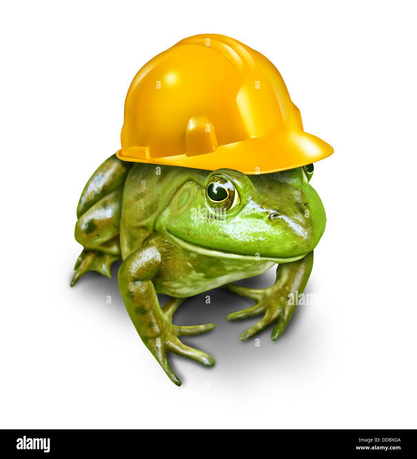 frog-with-hat-61d95d30de35c.jpg