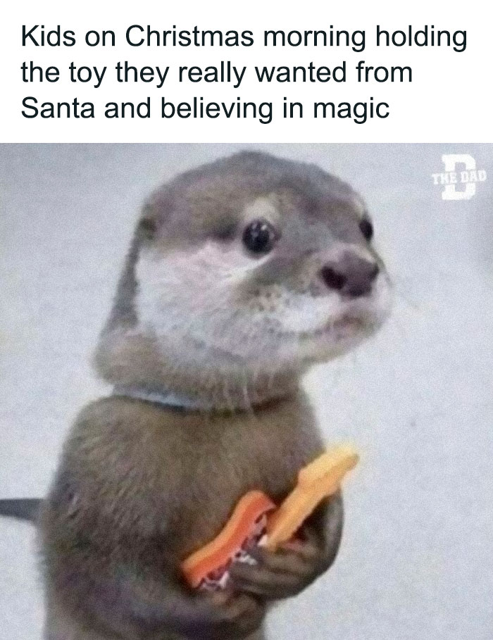 Funniest-The-Dad-Online-Tweets-Memes