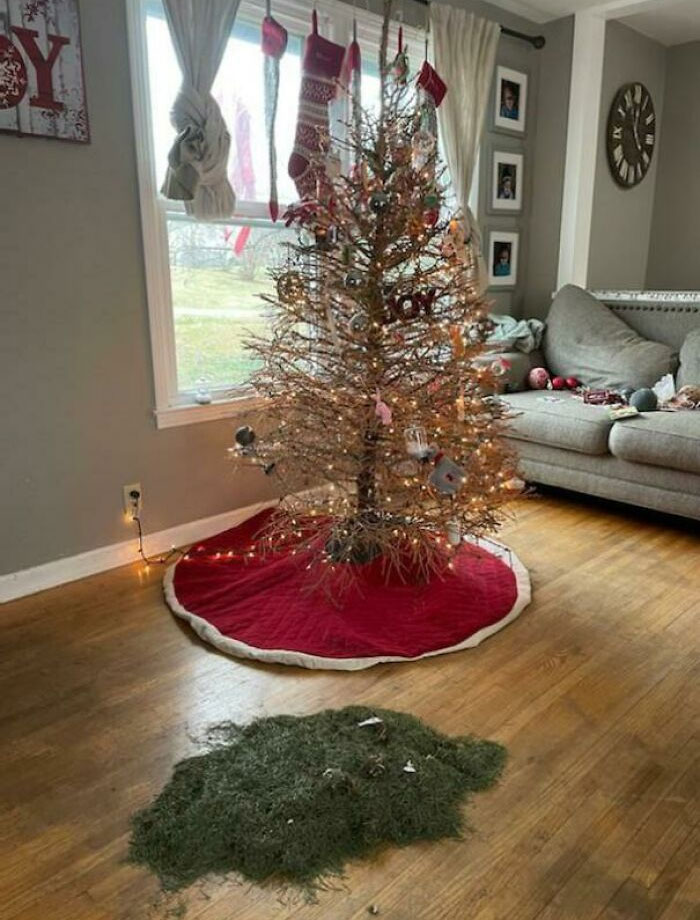 When Your Christmas Tree Just Can’t Make It Until Christmas