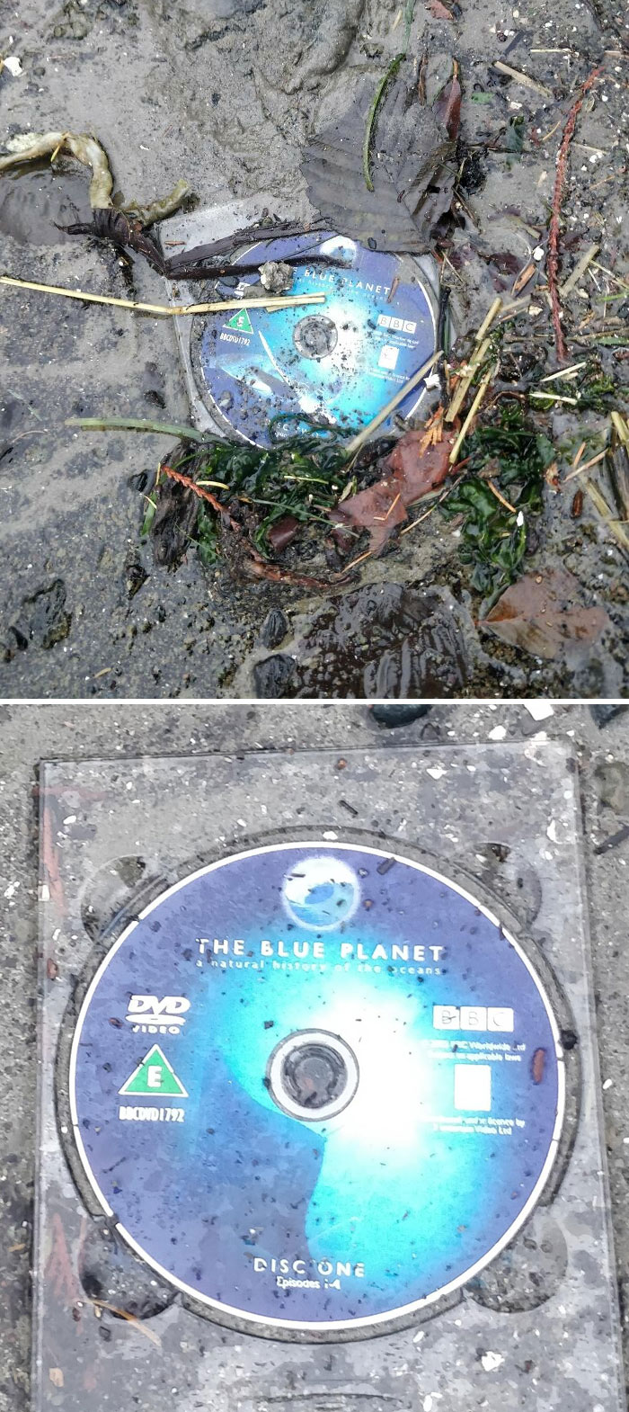 Picking Up Plastic On The Beach Today... The Irony