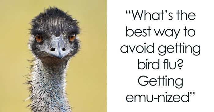 160 Bird Puns That Are Positively Owl-some