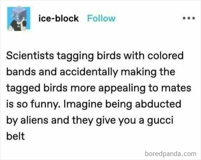 Imagine Being Abducted By Aliens And They Give You A Gucci Belt