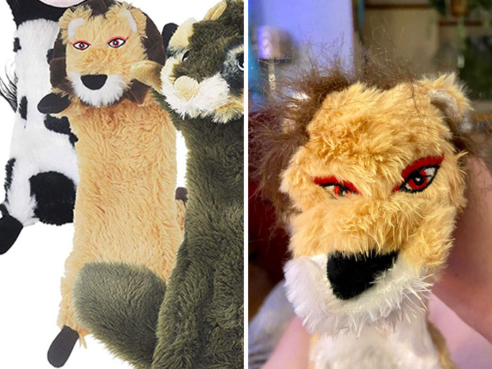 This Lion Dog Toy My Mom Got On Amazon. Dog Loves It But I Can’t Stop Laughing.