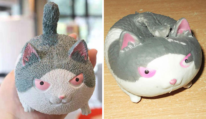 Squishy Cat Stress Reliever. Ordered vs. Received
