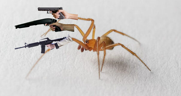 gun-spider-61dfbc4d517a7-png.jpg
