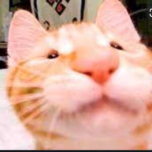 briannastar101 avatar