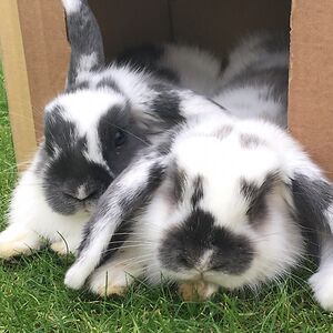 hayleysaunders avatar