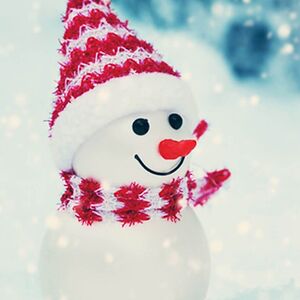 honeybeemlbhaem5 avatar