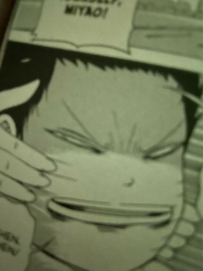 Picture From Hiscore Girl. I Sent It To My Friend And Just Said “Manga”