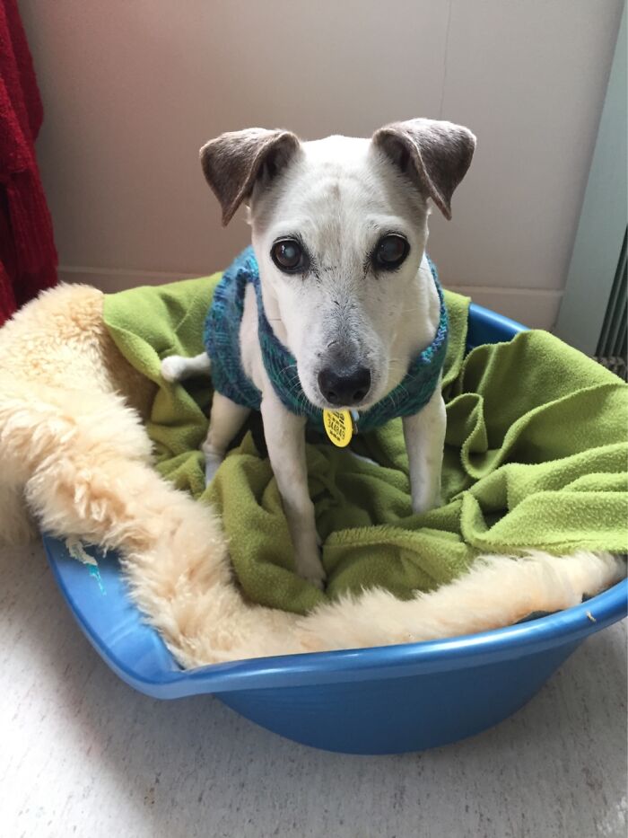 My Baby Girl Who Went To Heaven At 18. She’s My Brightest Star In The Sky. Miss Her So Much Xxx