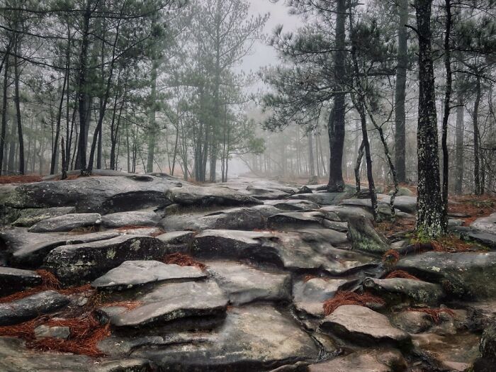 Took This On A Hike Up Stone Mountain On New Years