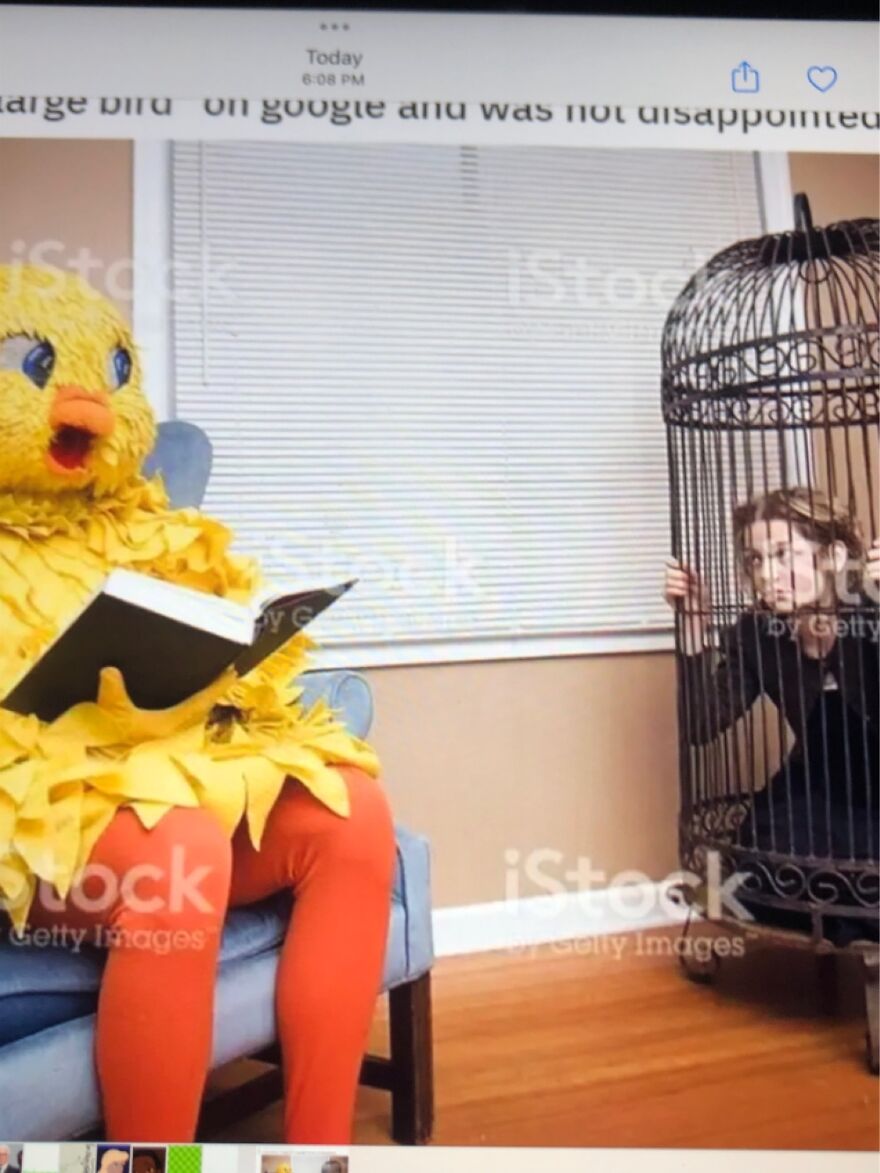 Caged The Revenge Of Big Bird