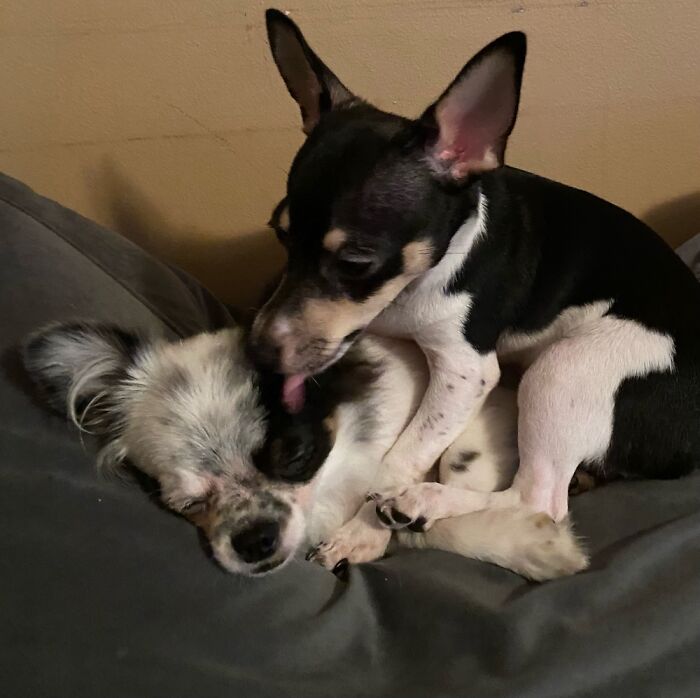 When You Just Want To Sleep But Your Brother Wants To Kiss You