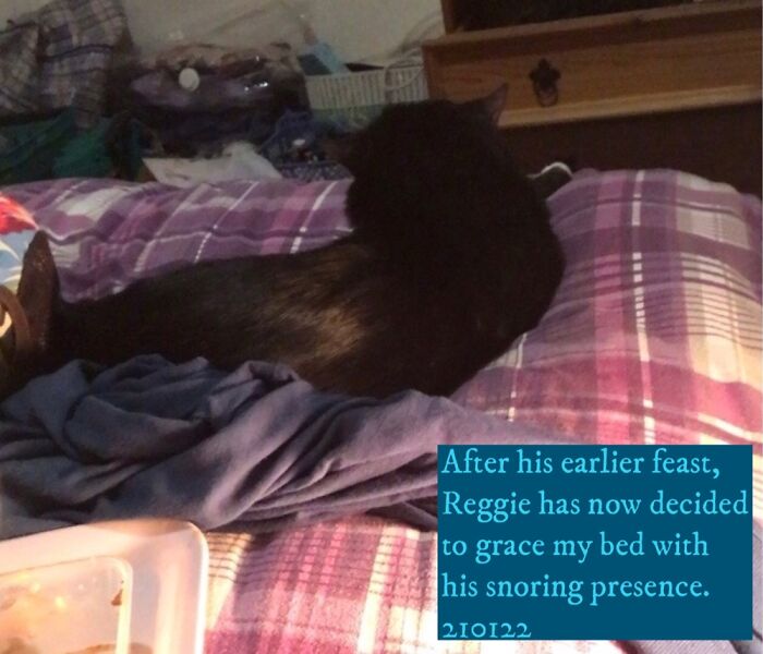 Reggie,