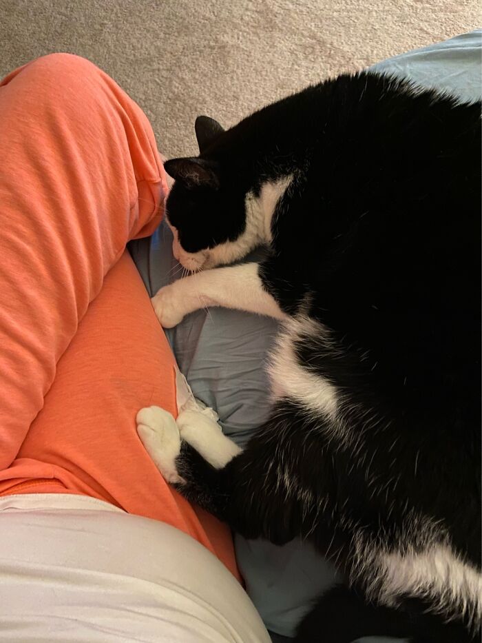 P. Diddy Must Have Feet On Me At All Times. She Likes To Be Close On Her Terms.