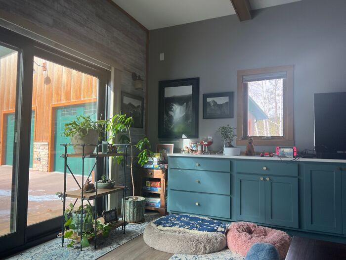 My Family Room And Plants