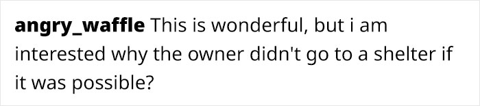 Woman Asked For Help On Social Media After Finding Abandoned Dog With A Note “I’m Sorry, Please Take Care Of Her” Woman Asked For Help On Social Media After Finding Abandoned Dog With A Note “I’m Sorry, Please Take Care Of Her”