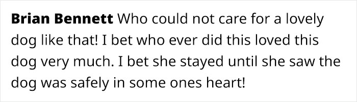 Woman Asked For Help On Social Media After Finding Abandoned Dog With A Note “I’m Sorry, Please Take Care Of Her” Woman Asked For Help On Social Media After Finding Abandoned Dog With A Note “I’m Sorry, Please Take Care Of Her”