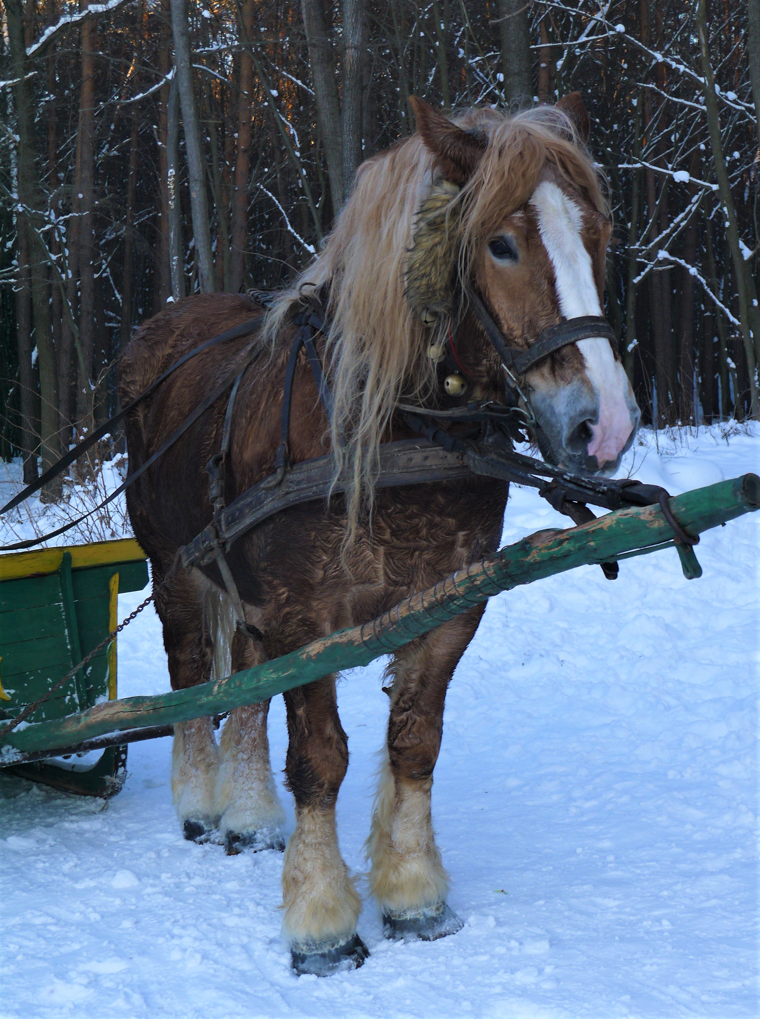 Some Pics Of Winter In Poland