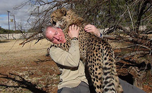 Cheetah Whisperer: Man Befriends A Wild Cheetah On A Trip To Africa