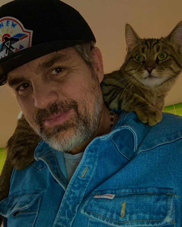 Man wearing a black cap and denim jacket with a tabby cat resting on his shoulders in an indoor setting. Man wearing a black cap and denim jacket with a tabby cat resting on his shoulders in an indoor setting.