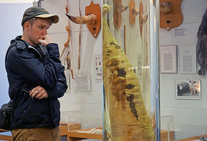 My Wife Got This Pic Of Me Staring Incredulously At A Whale Dong In The Icelandic Phallological Museum